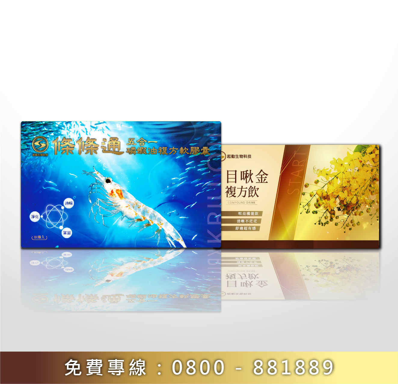 條條通&目啾金
