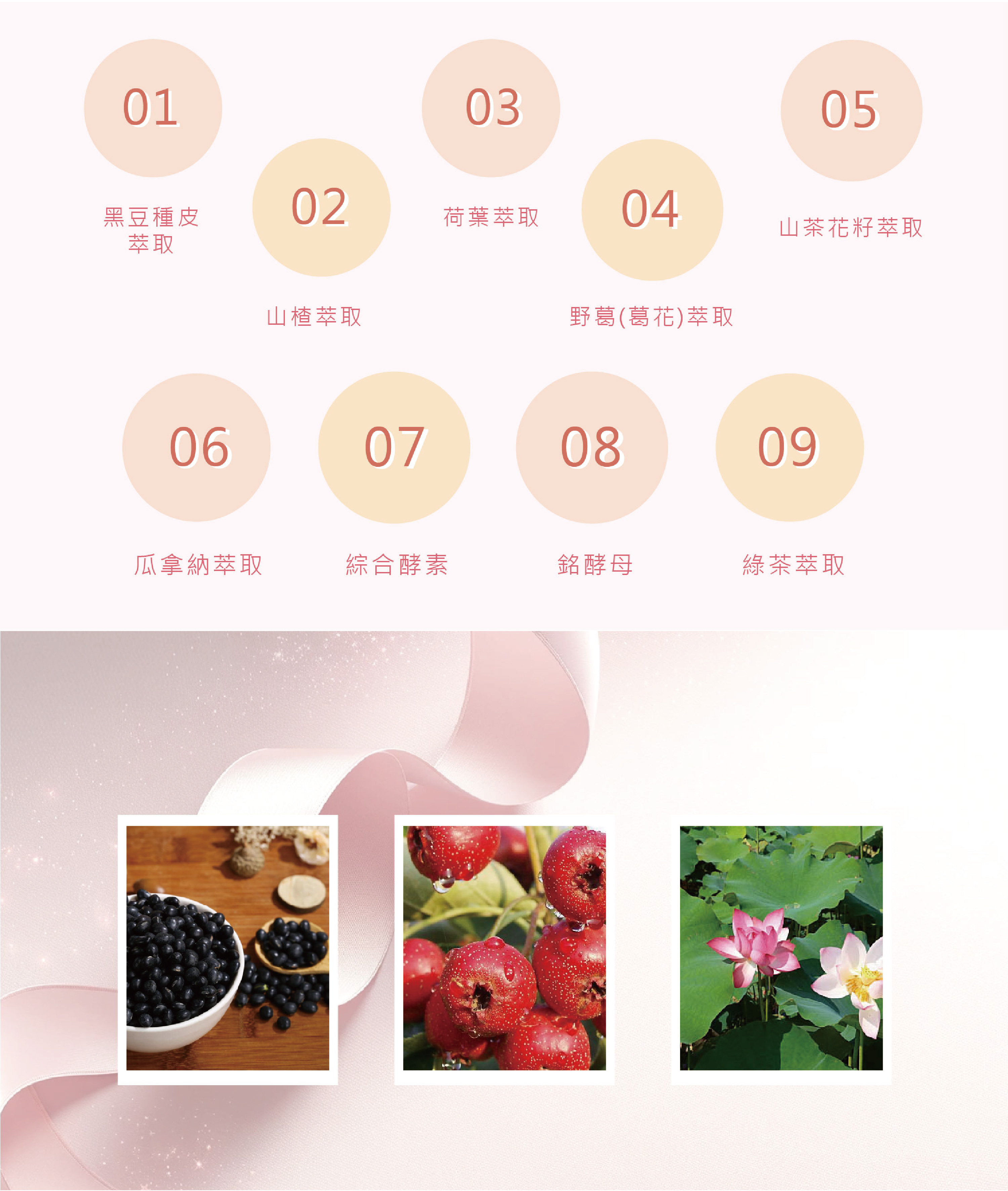 Dear so. so. 水仙子